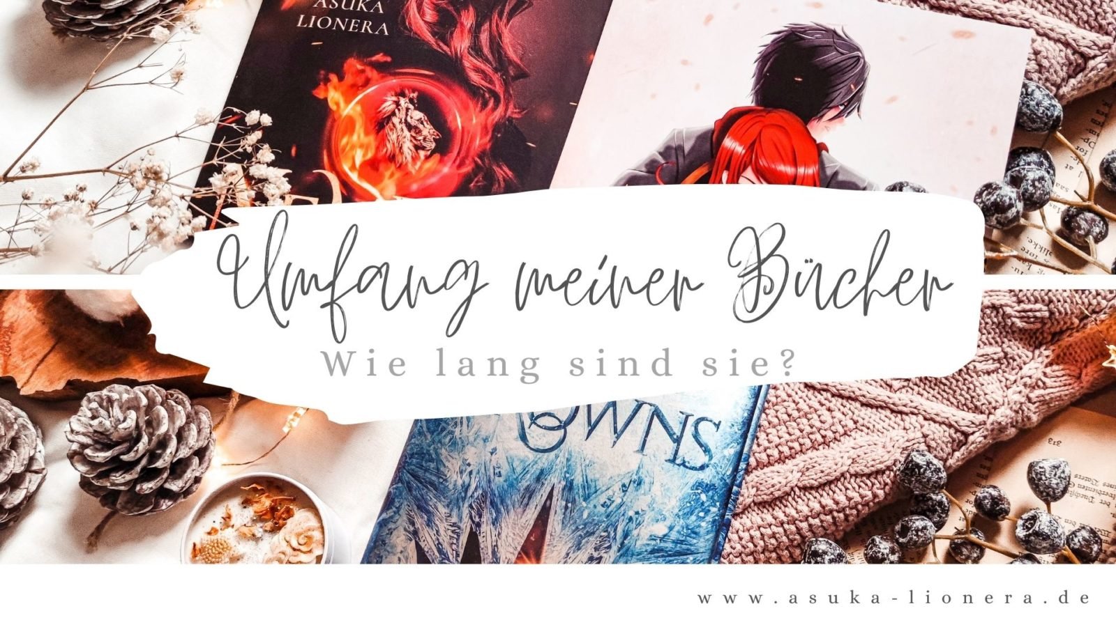 Umfang meiner Büchern – Wie lang sind die eigentlich?