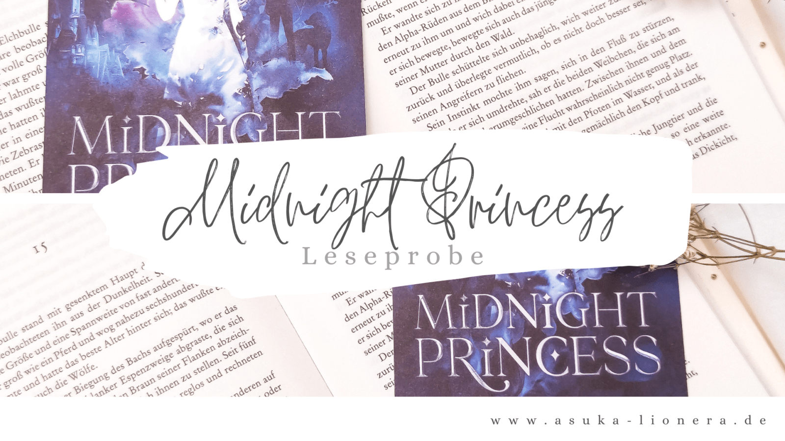 Midnight Princess – Leseprobe