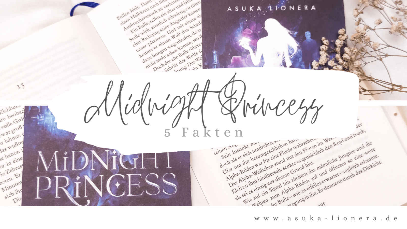 5 Fakten zu Midnight Princess